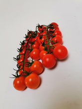 Load image into Gallery viewer, Tomatoes (1kg)