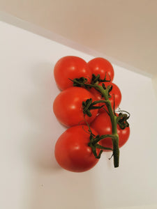 Tomatoes (1kg)